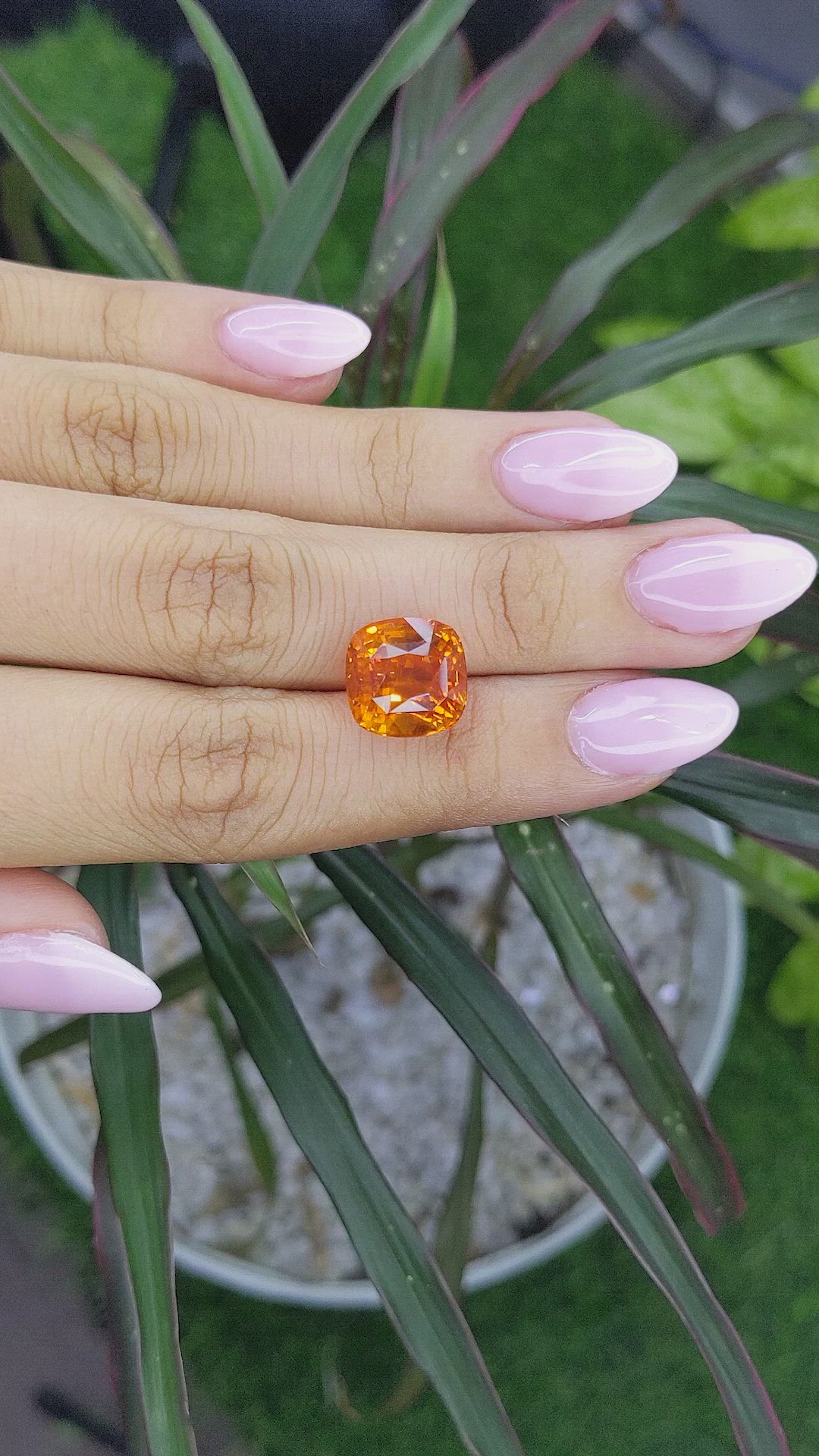 11.53 Ct. Orange Sapphire from Madagascar Size Video