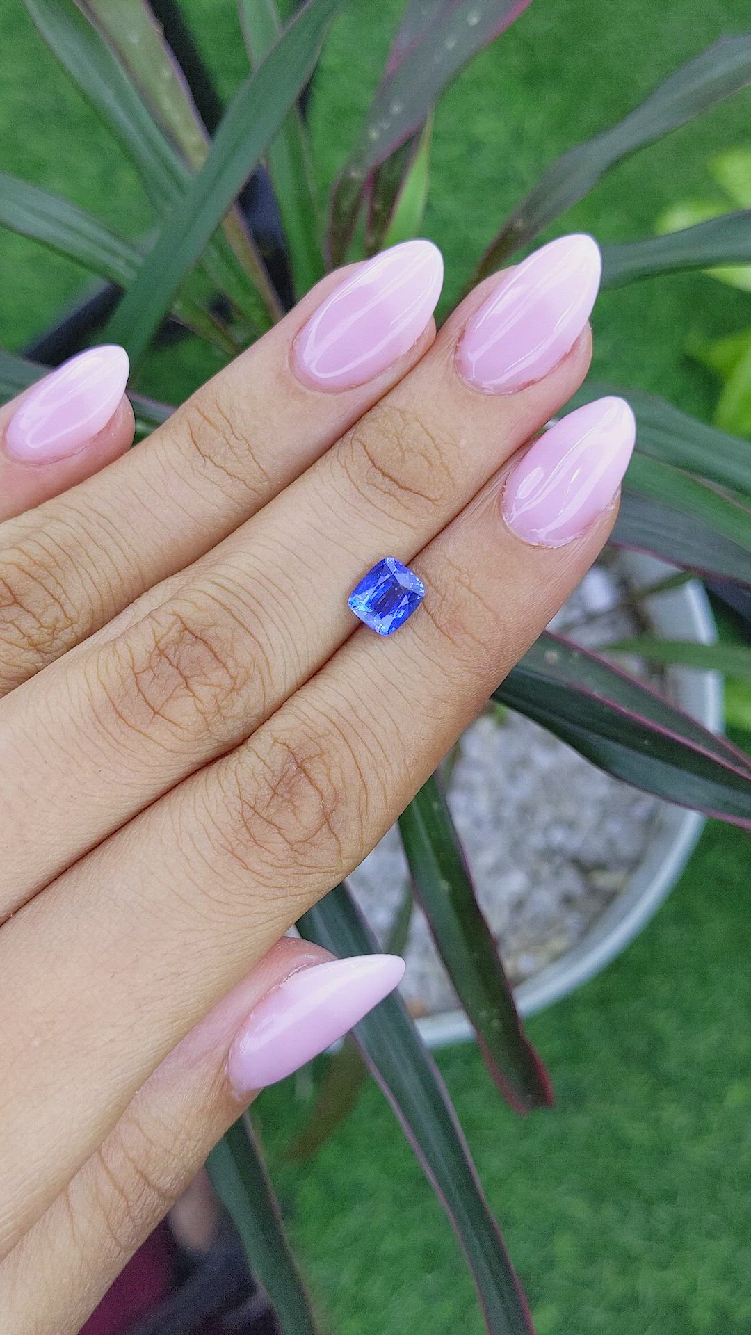 1.64 Ct. Blue Sapphire from Ceylon (Sri Lanka) Size Video