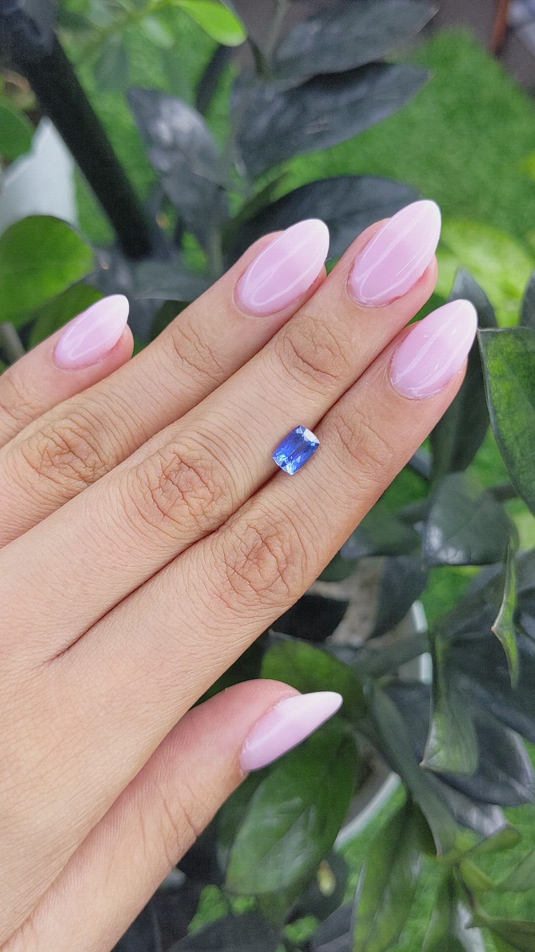 1.54 Ct. Blue Sapphire from Ceylon (Sri Lanka) Size Video