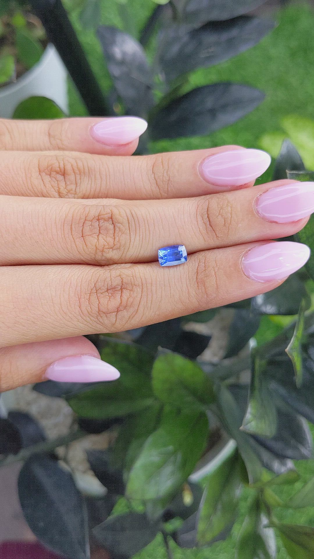 1.54 Ct. Blue Sapphire from Ceylon (Sri Lanka) Size Video