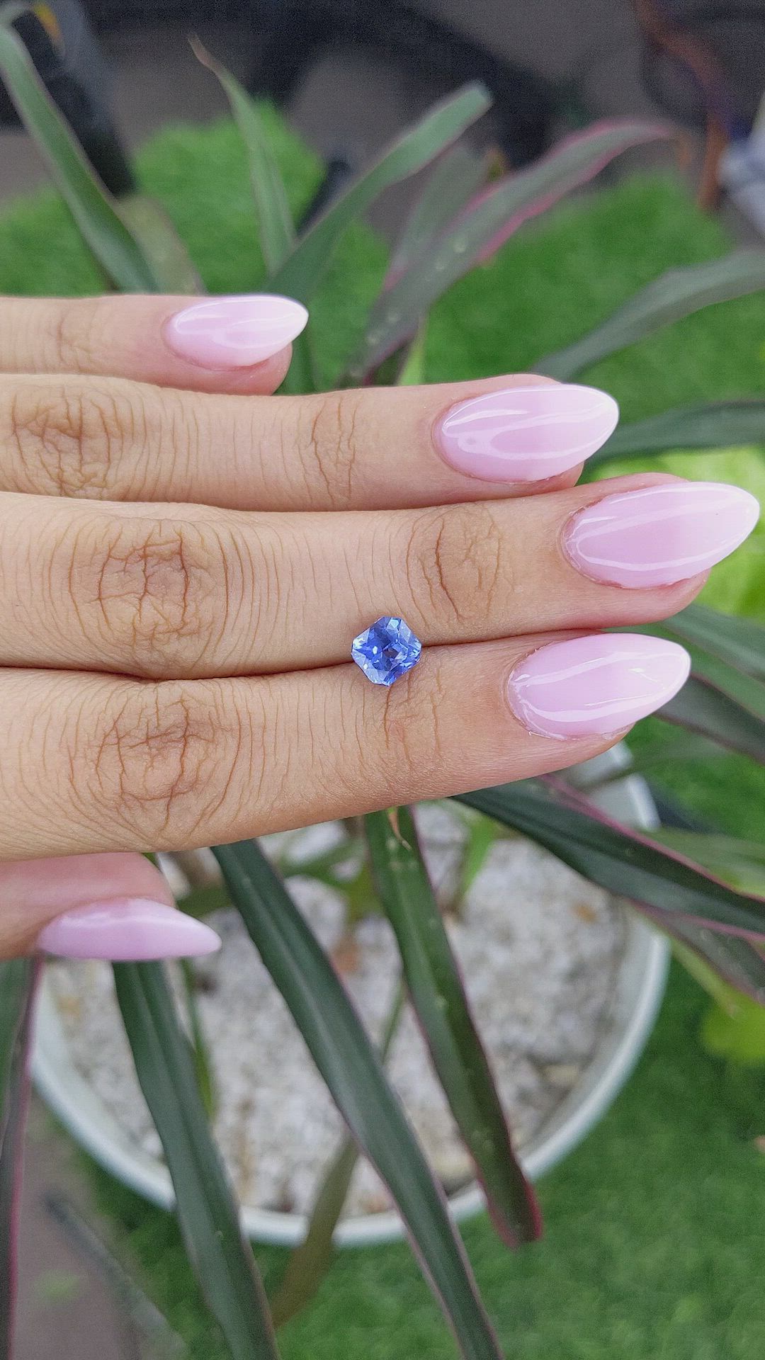 1.58 Ct. Blue Sapphire from Ceylon (Sri Lanka) Size Video