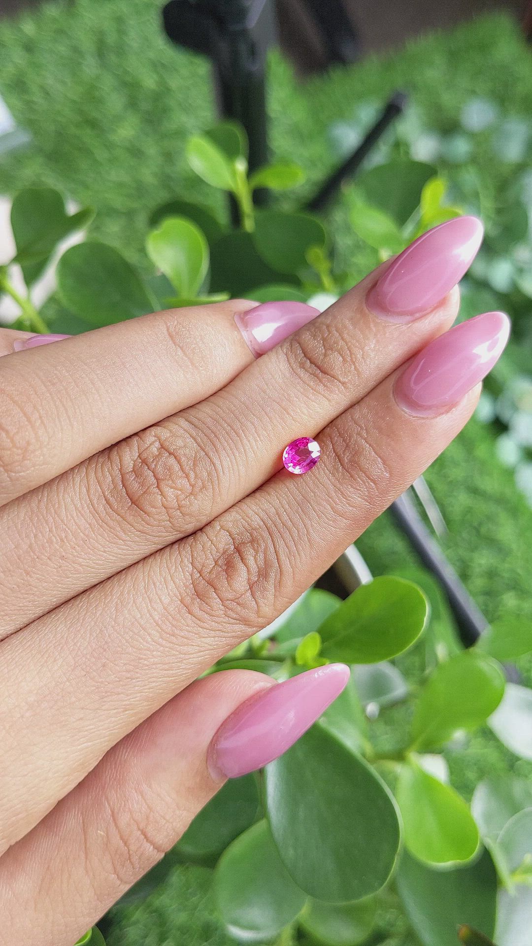 0.66 Ct. Purplish Pink Sapphire from Mozambique Size Video