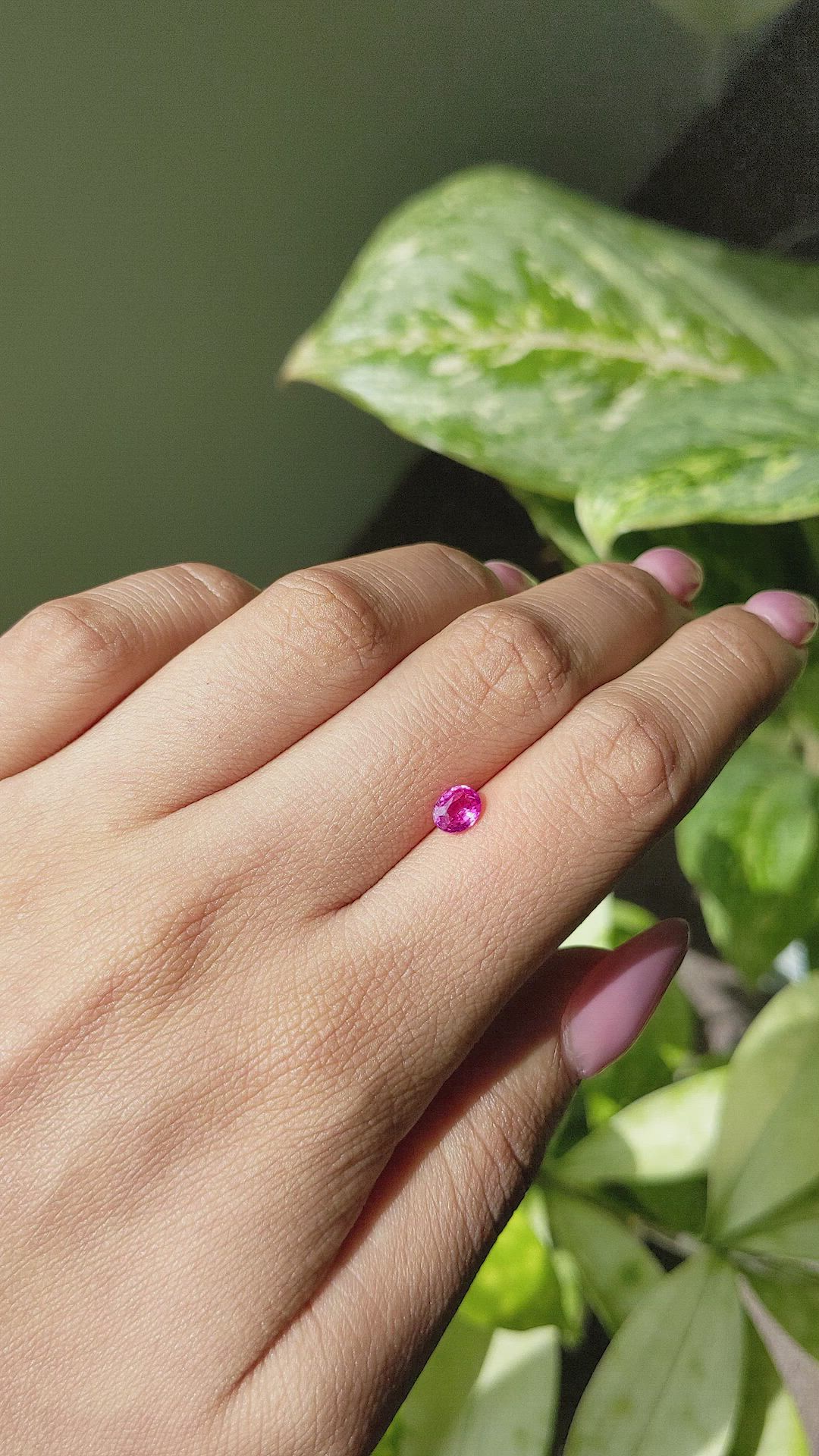 0.66 Ct. Purplish Pink Sapphire from Mozambique Size Video