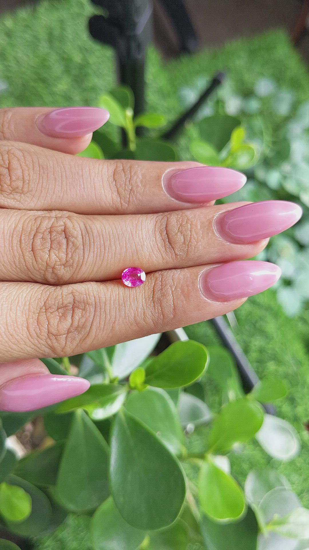 0.66 Ct. Purplish Pink Sapphire from Mozambique Size Video