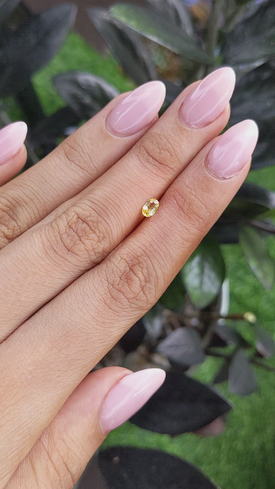 0.27 Ct. Yellow Sapphire from Ceylon (Sri Lanka) Size Video