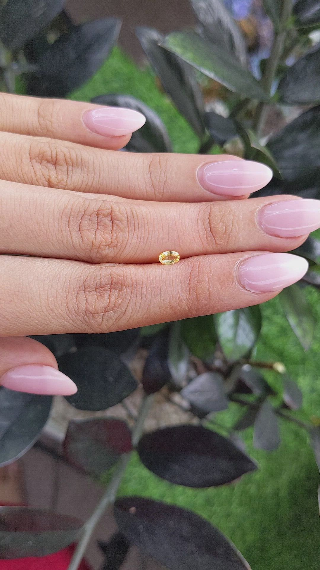 0.27 Ct. Yellow Sapphire from Ceylon (Sri Lanka) Size Video