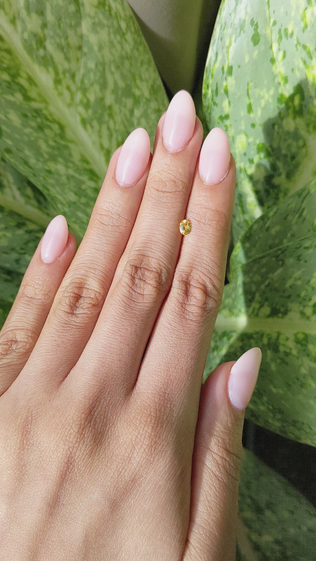 0.32 Ct. Yellow Sapphire from Ceylon (Sri Lanka) Size Video