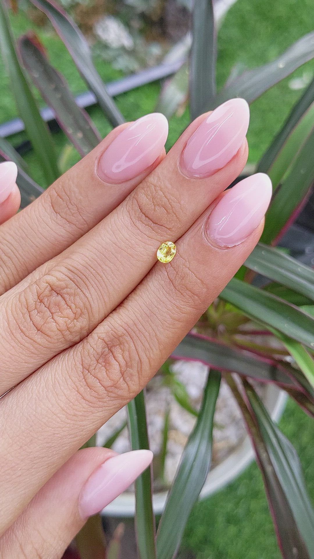 0.32 Ct. Yellow Sapphire from Ceylon (Sri Lanka) Size Video