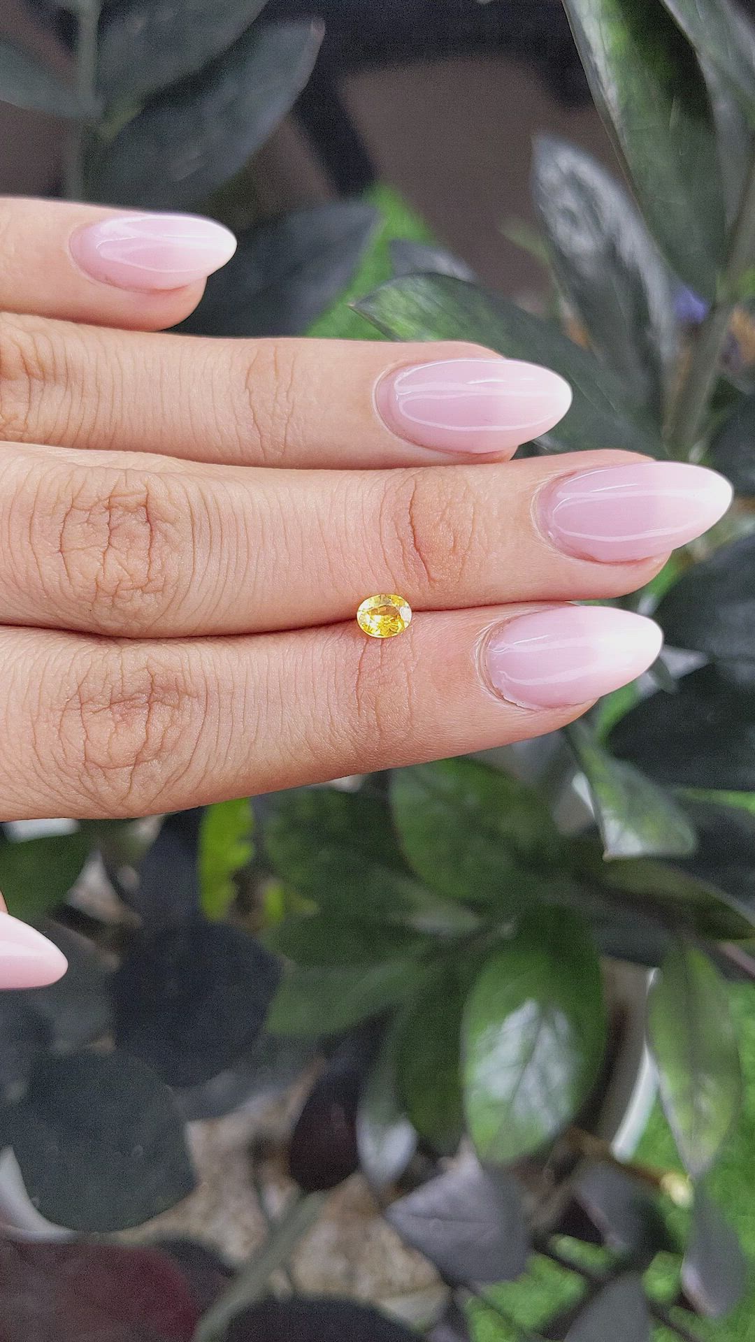 0.38 Ct. Yellow Sapphire from Ceylon (Sri Lanka) Size Video
