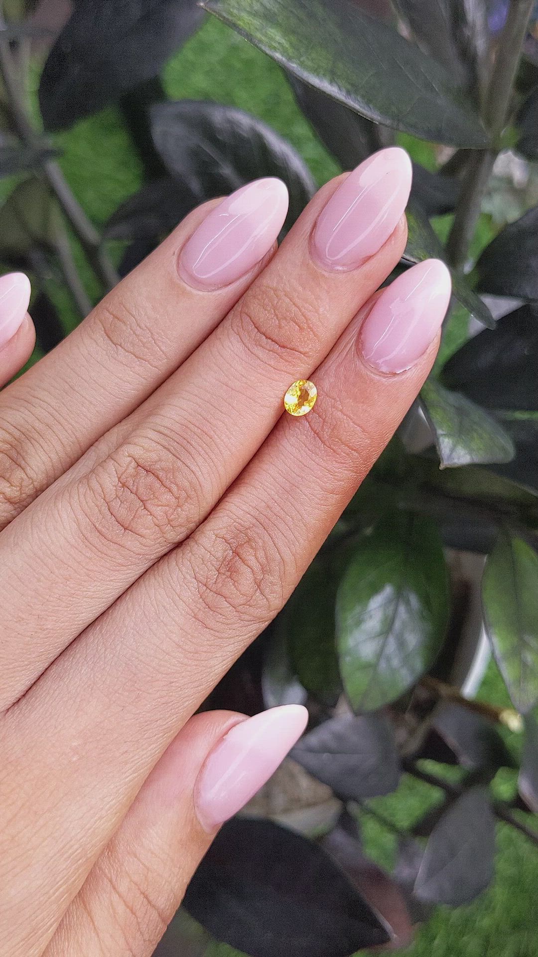0.38 Ct. Yellow Sapphire from Ceylon (Sri Lanka) Size Video