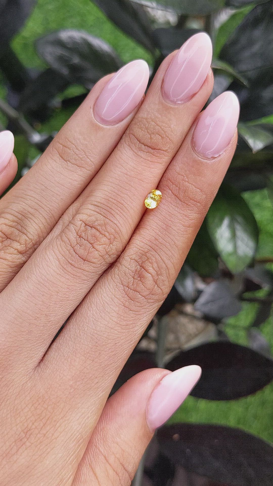0.45 Ct. Yellow Sapphire from Ceylon (Sri Lanka) Size Video