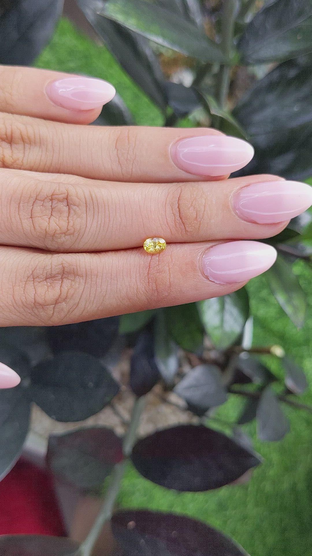 0.45 Ct. Yellow Sapphire from Ceylon (Sri Lanka) Size Video