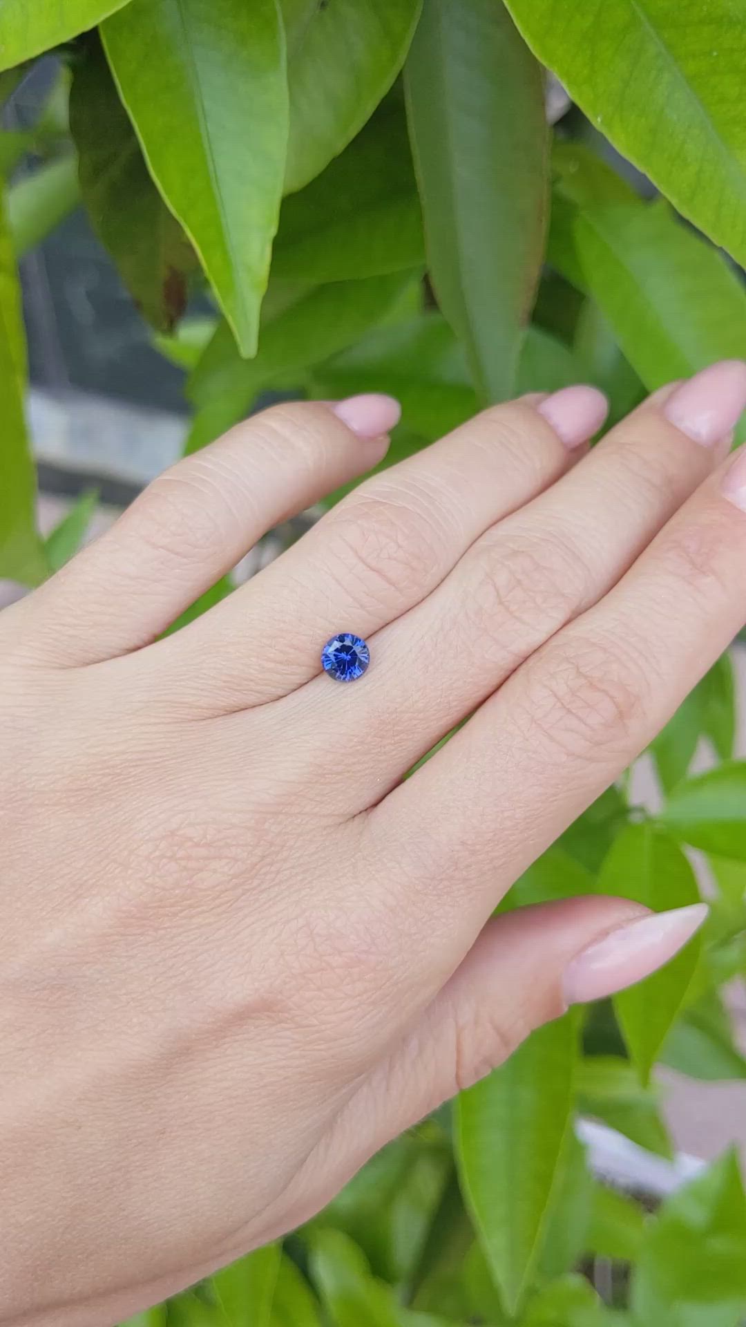 0.79 Ct. Blue Sapphire from Ceylon (Sri Lanka) Size Video