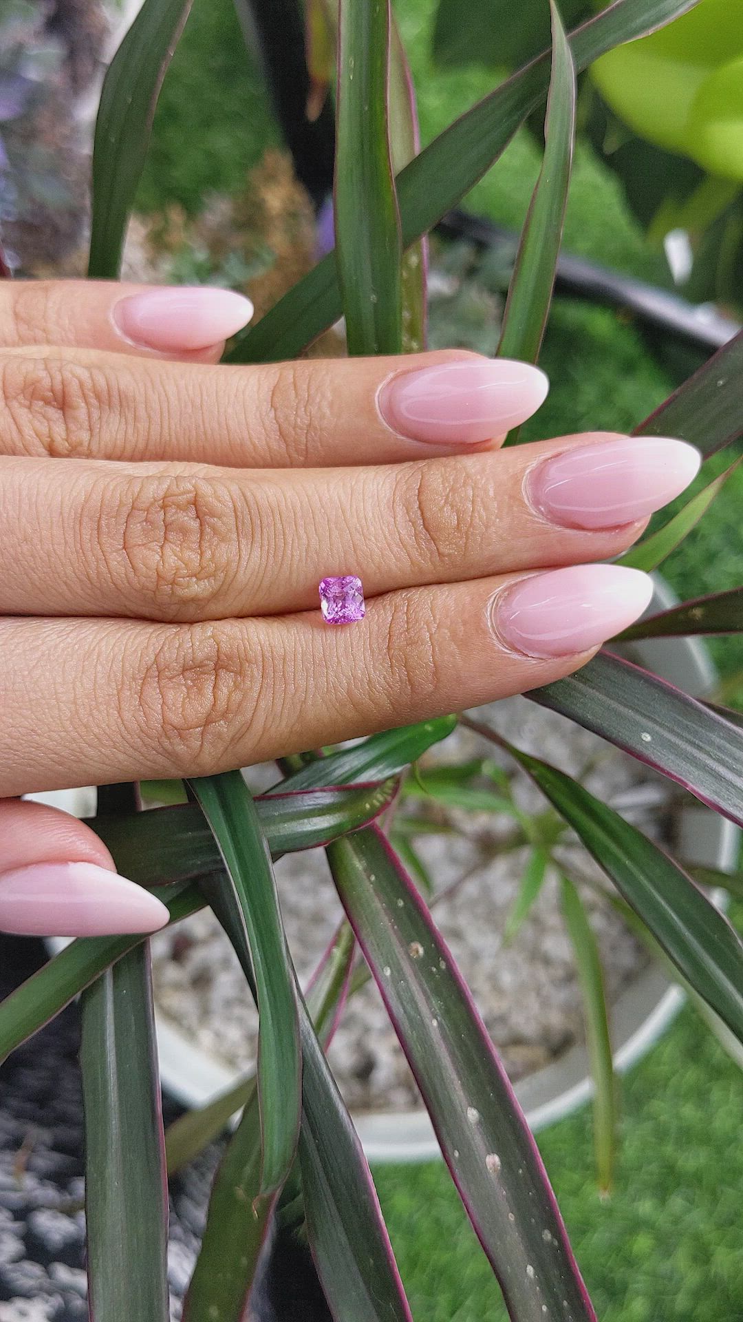 1.07 Ct. Pink Sapphire from Madagascar Size Video