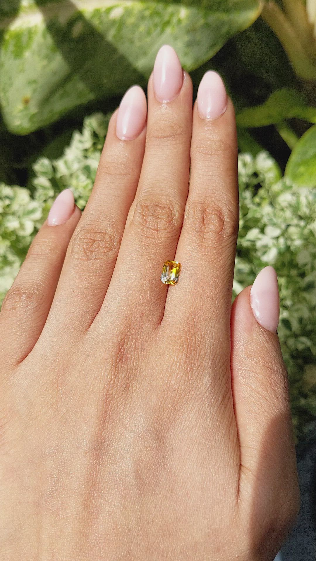 1.10 Ct. Bi Color Sapphire from Ceylon (Sri Lanka) Size Video