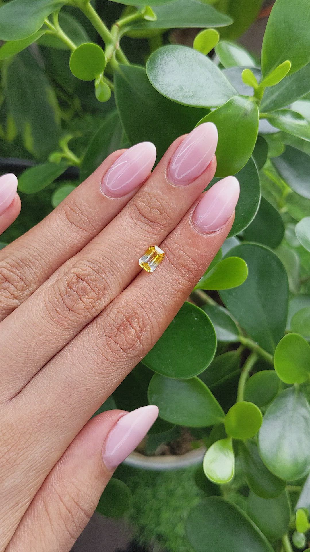 1.10 Ct. Bi Color Sapphire from Ceylon (Sri Lanka) Size Video