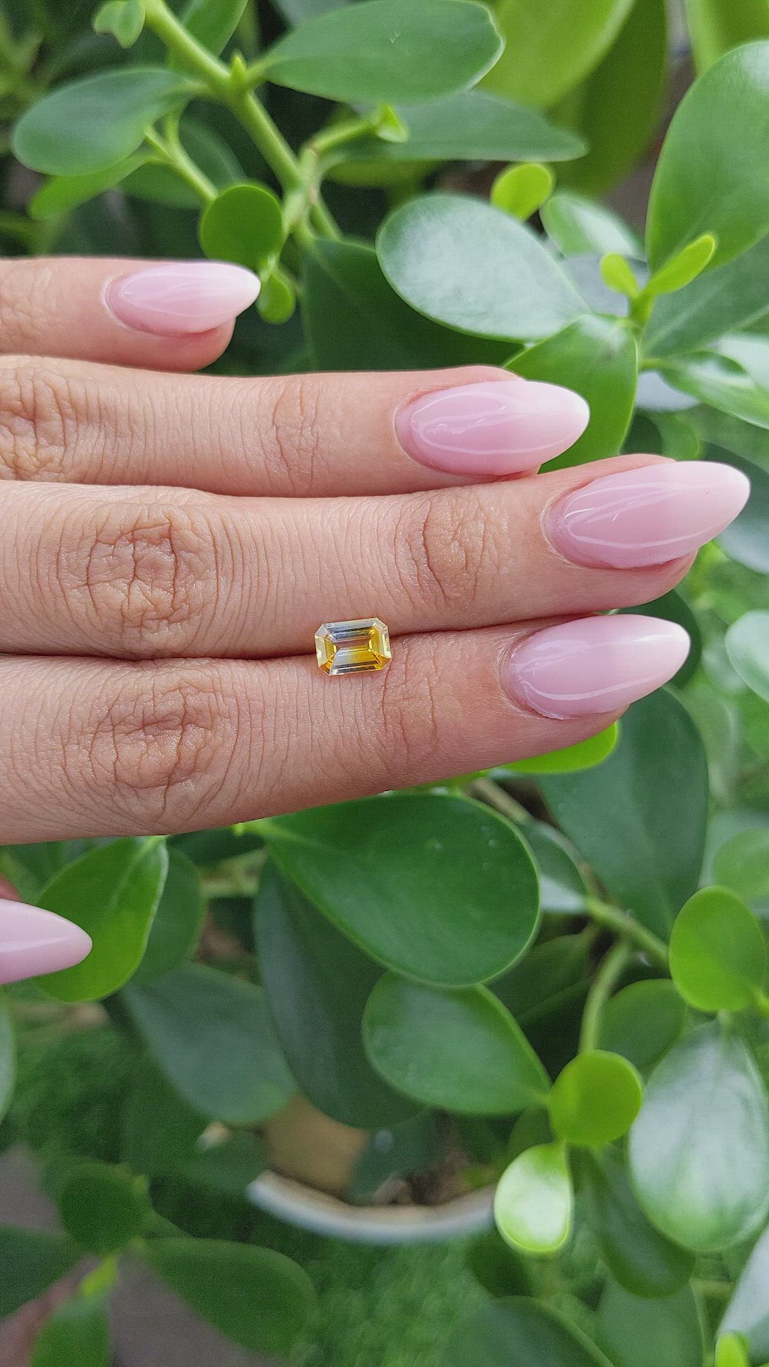 1.10 Ct. Bi Color Sapphire from Ceylon (Sri Lanka) Size Video