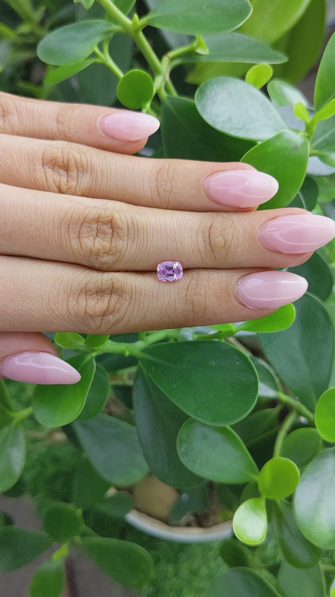 1.01 Ct. Sapphire from Ceylon (Sri Lanka) Size Video