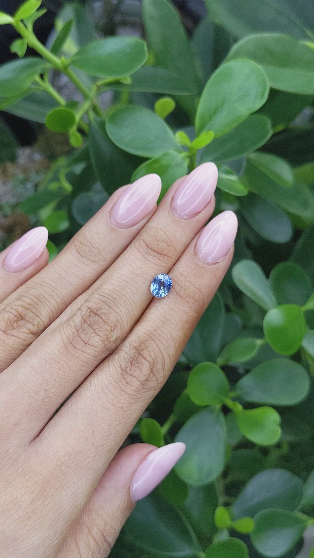 1.68 Ct. Bi Color Sapphire from Madagascar Size Video