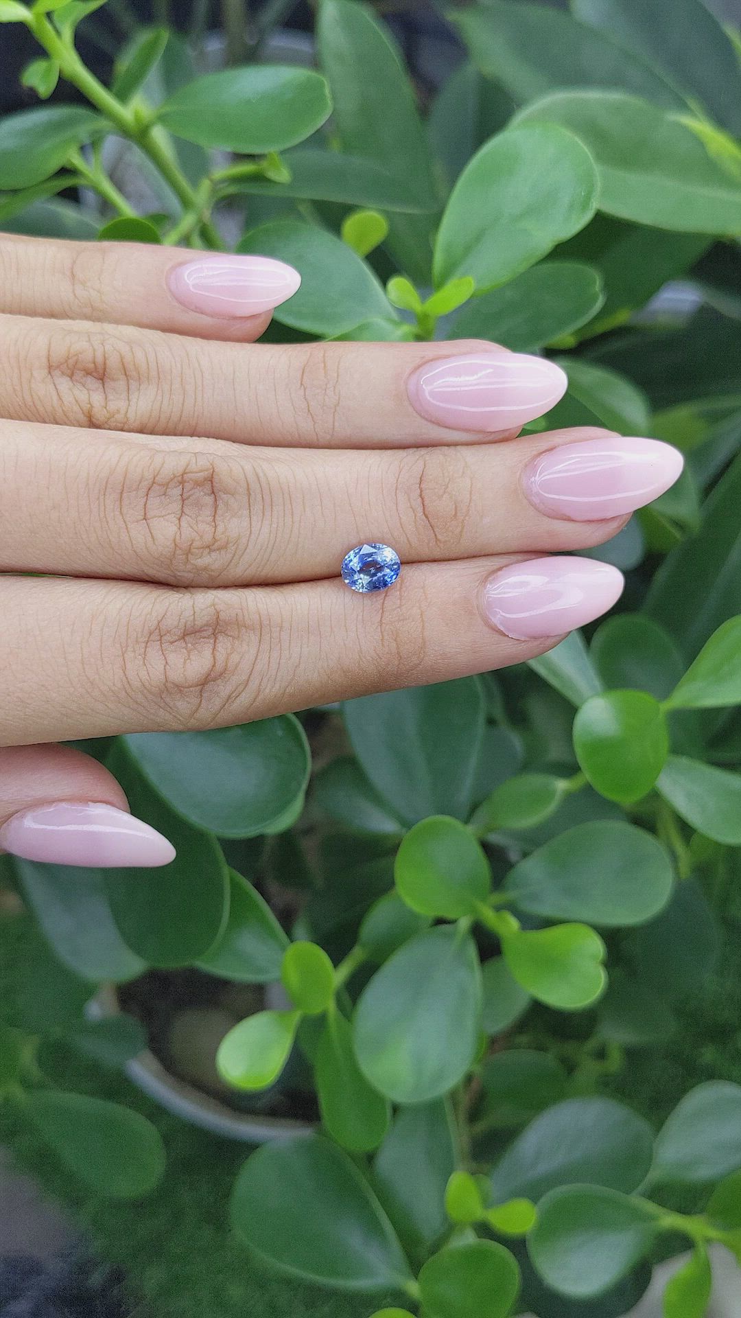 1.68 Ct. Bi Color Sapphire from Madagascar Size Video