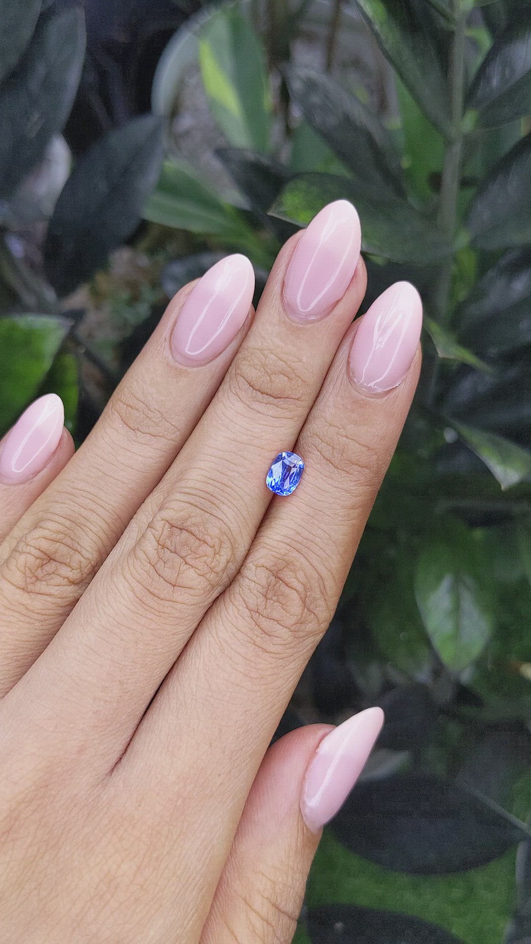 1.13 Ct. Blue Sapphire from Ceylon (Sri Lanka) Size Video