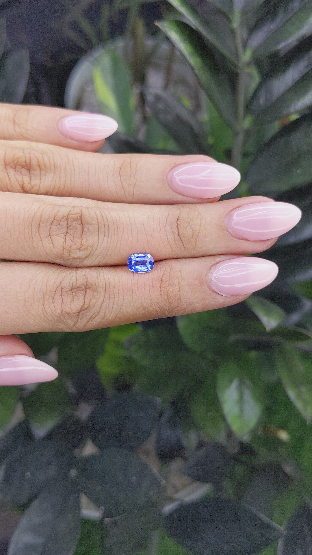 1.13 Ct. Blue Sapphire from Ceylon (Sri Lanka) Size Video