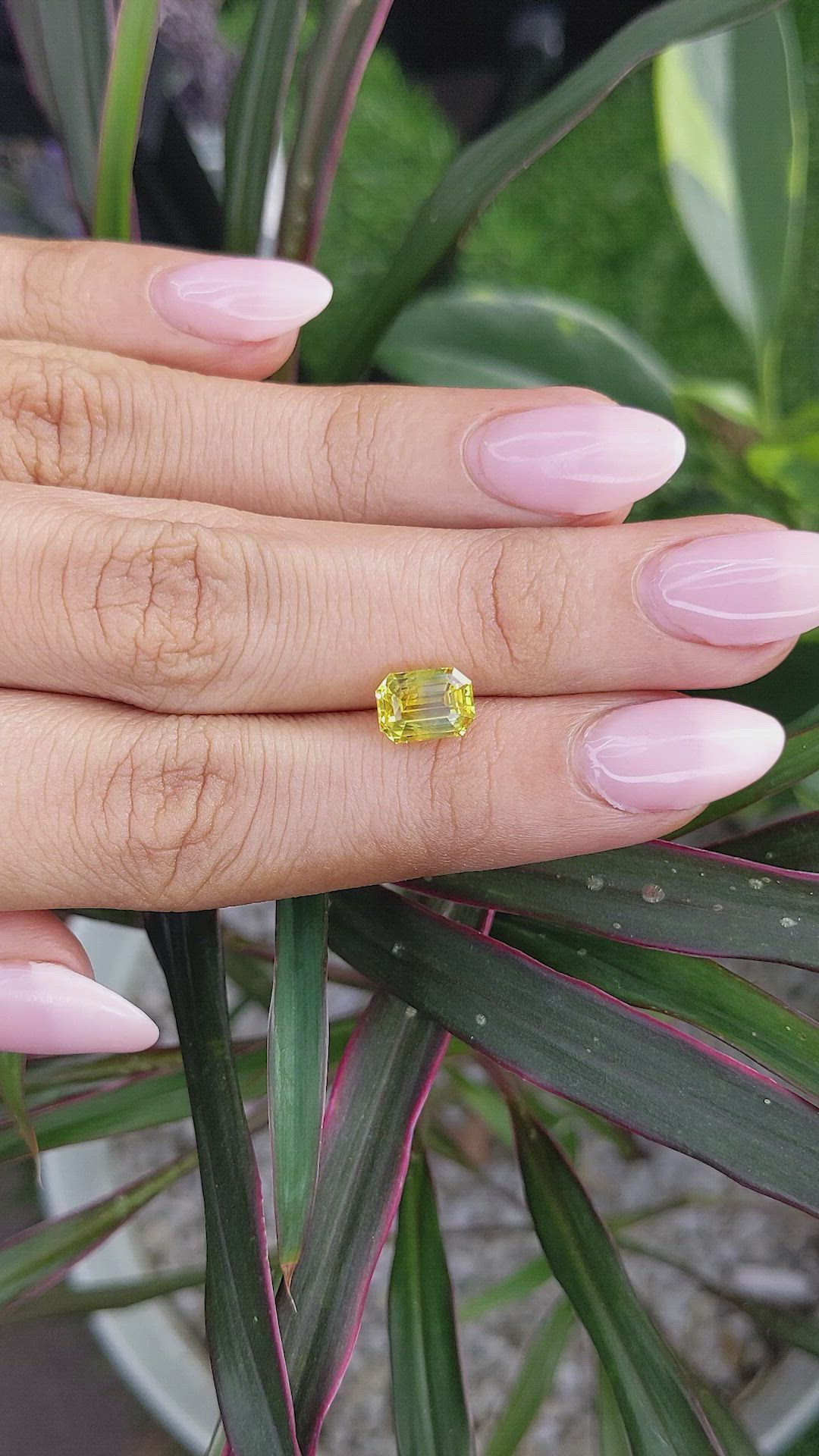 2.54 Ct. Yellow Sapphire from Ceylon (Sri Lanka) Size Video