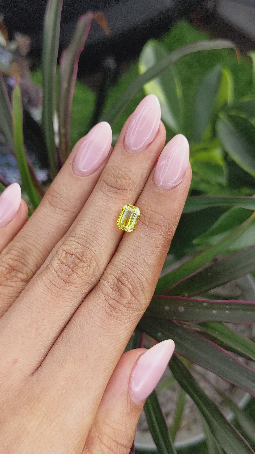 2.54 Ct. Yellow Sapphire from Ceylon (Sri Lanka) Size Video