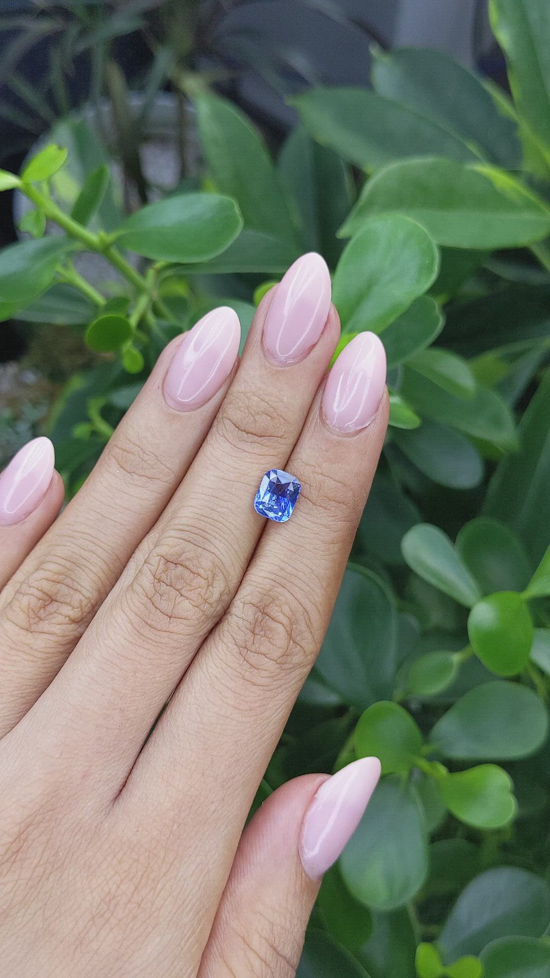 2.37 Ct. Blue Sapphire from Ceylon (Sri Lanka) Size Video