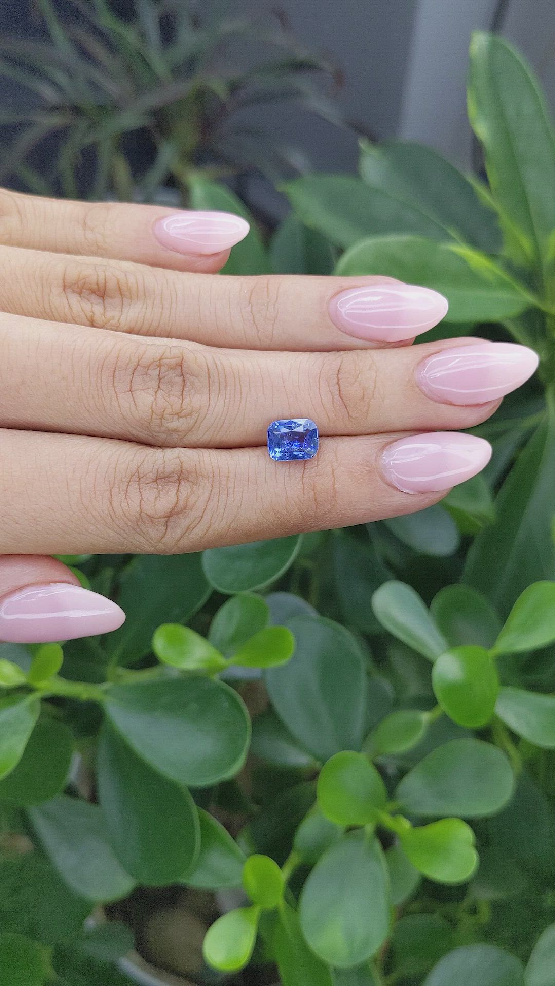 2.37 Ct. Blue Sapphire from Ceylon (Sri Lanka) Size Video