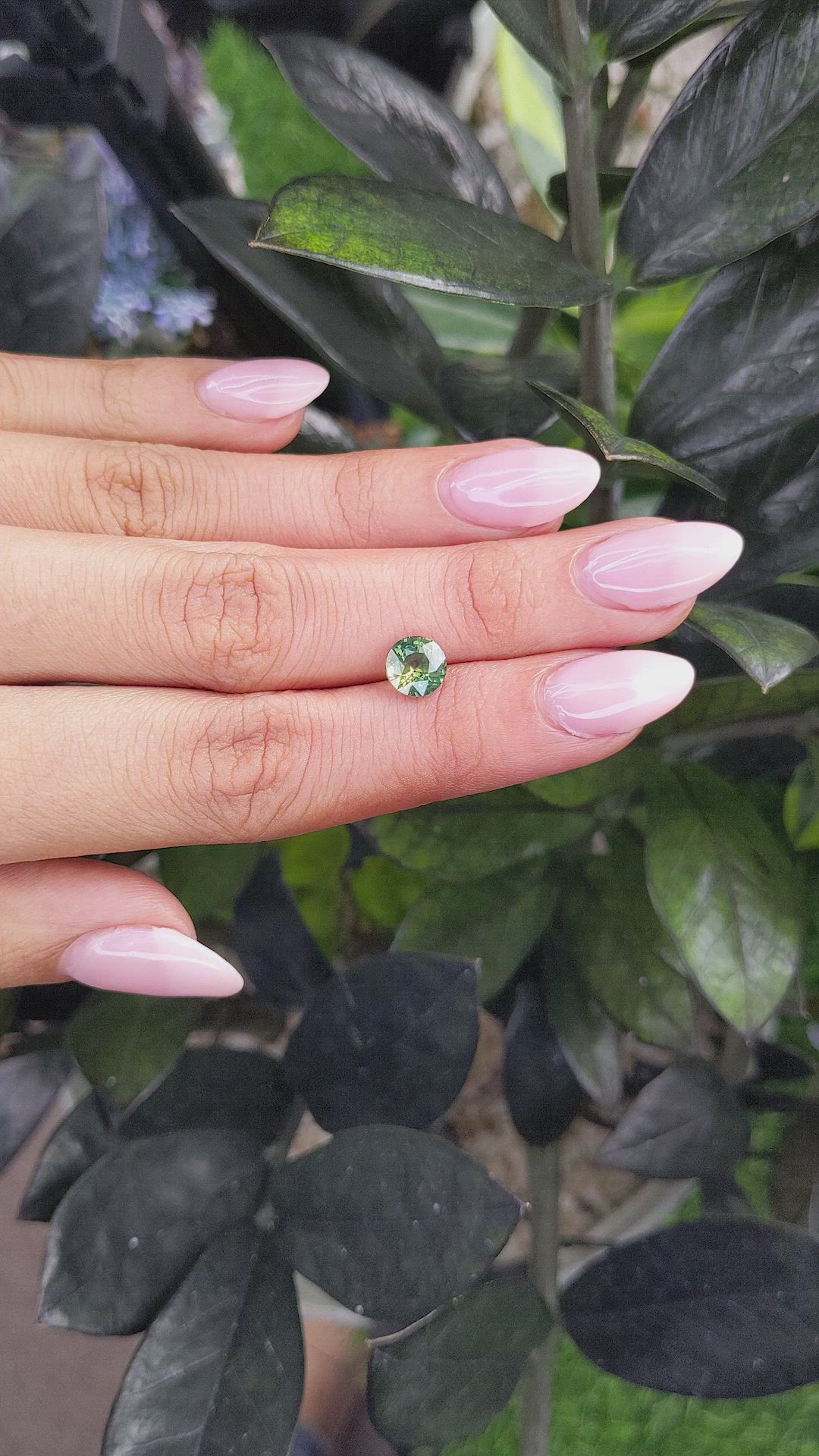 2.02 Ct. Bi Color Sapphire from Ceylon (Sri Lanka) Size Video