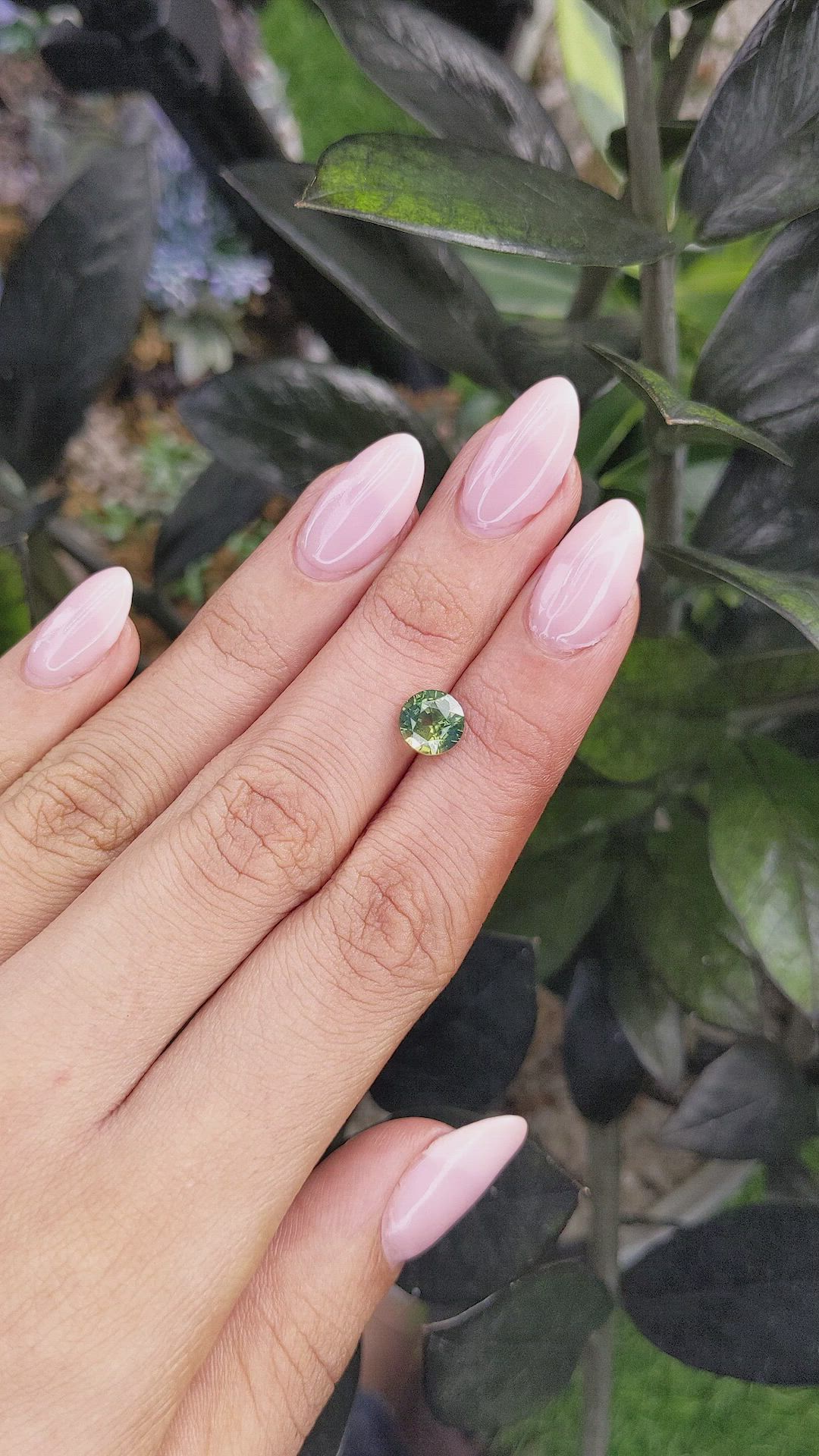 2.02 Ct. Bi Color Sapphire from Ceylon (Sri Lanka) Size Video