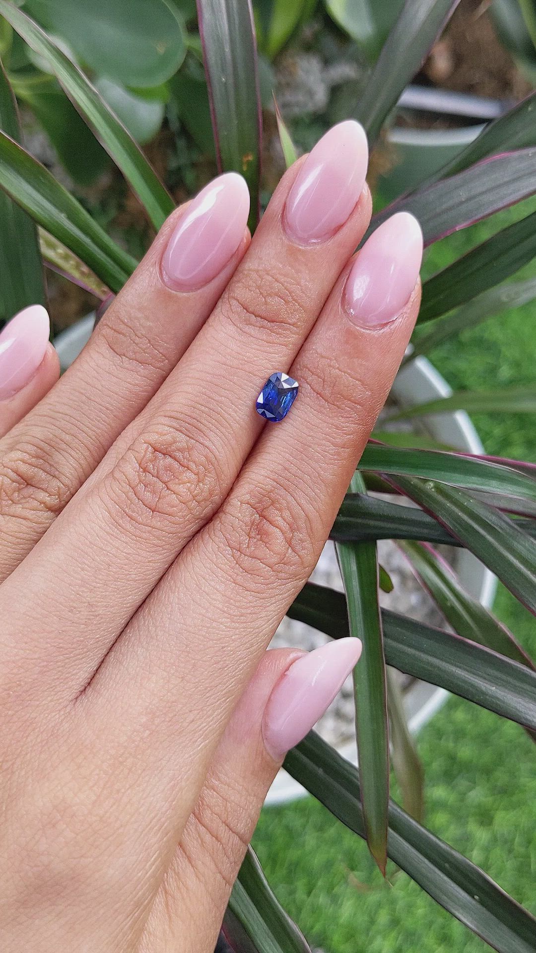 1.05 Ct. Blue Sapphire from Ceylon (Sri Lanka) Size Video