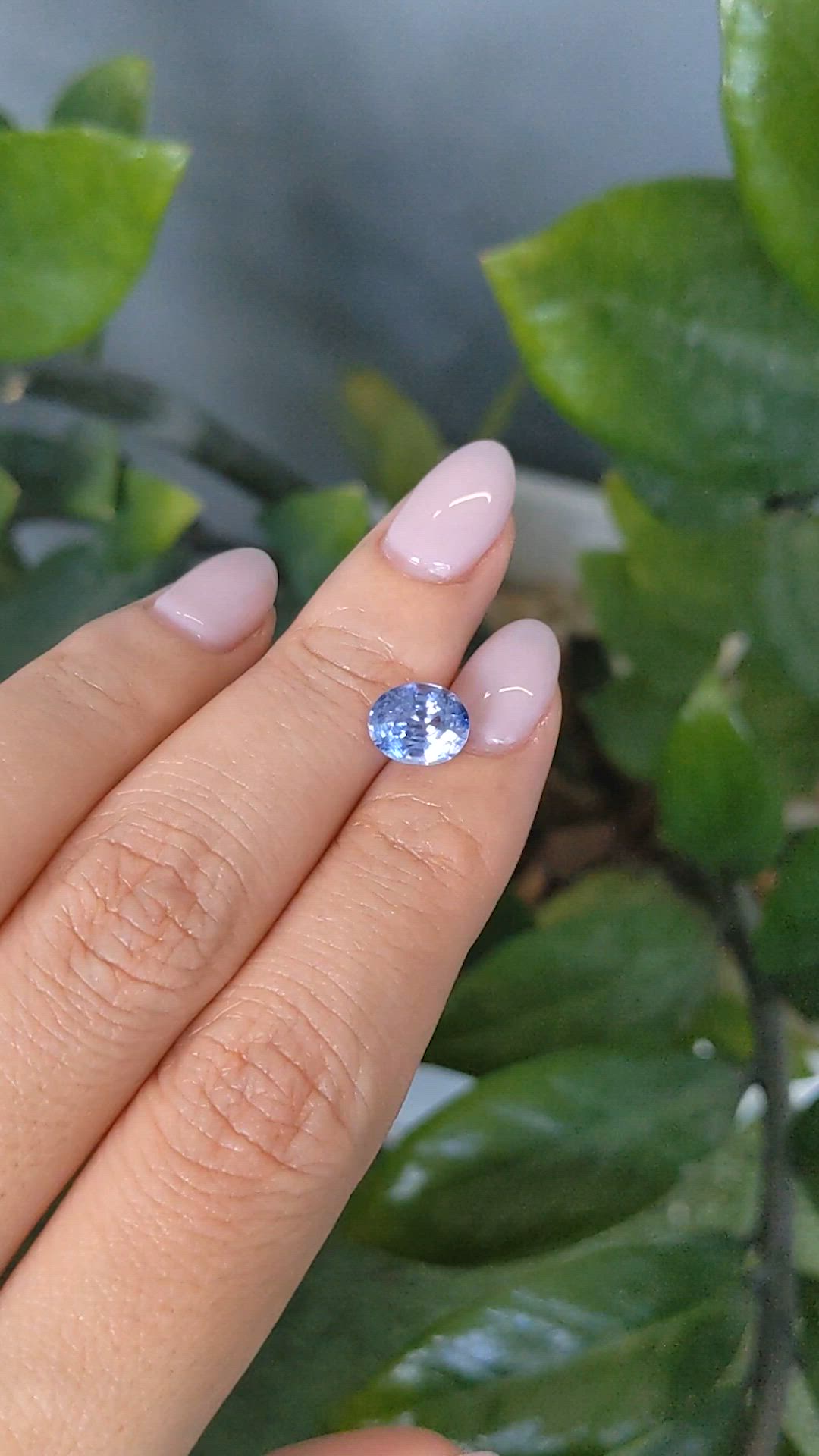 2.21 Ct. Blue Sapphire from Ceylon (Sri Lanka) Size Video