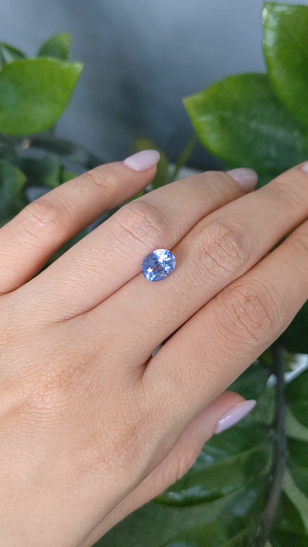 2.21 Ct. Blue Sapphire from Ceylon (Sri Lanka) Size Video