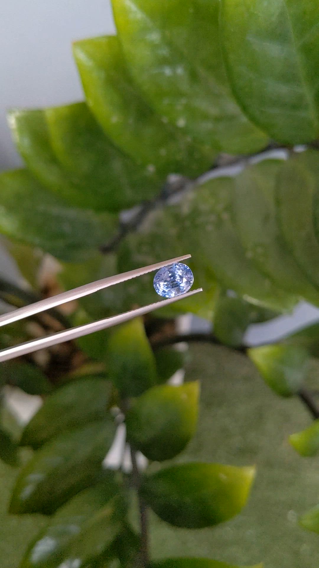 2.21 Ct. Blue Sapphire from Ceylon (Sri Lanka) Size Video
