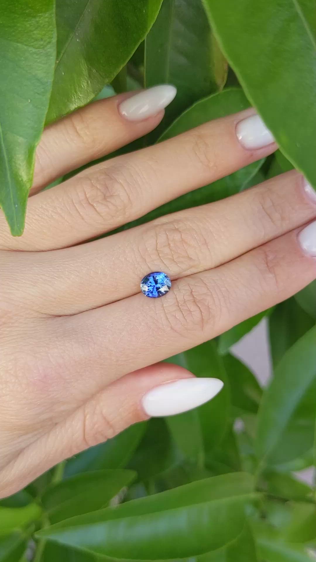 1.27 Ct. Blue Sapphire from Ceylon (Sri Lanka) Size Video