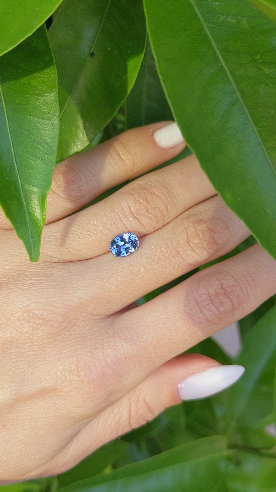 1.68 Ct. Blue Sapphire from Ceylon (Sri Lanka) Size Video
