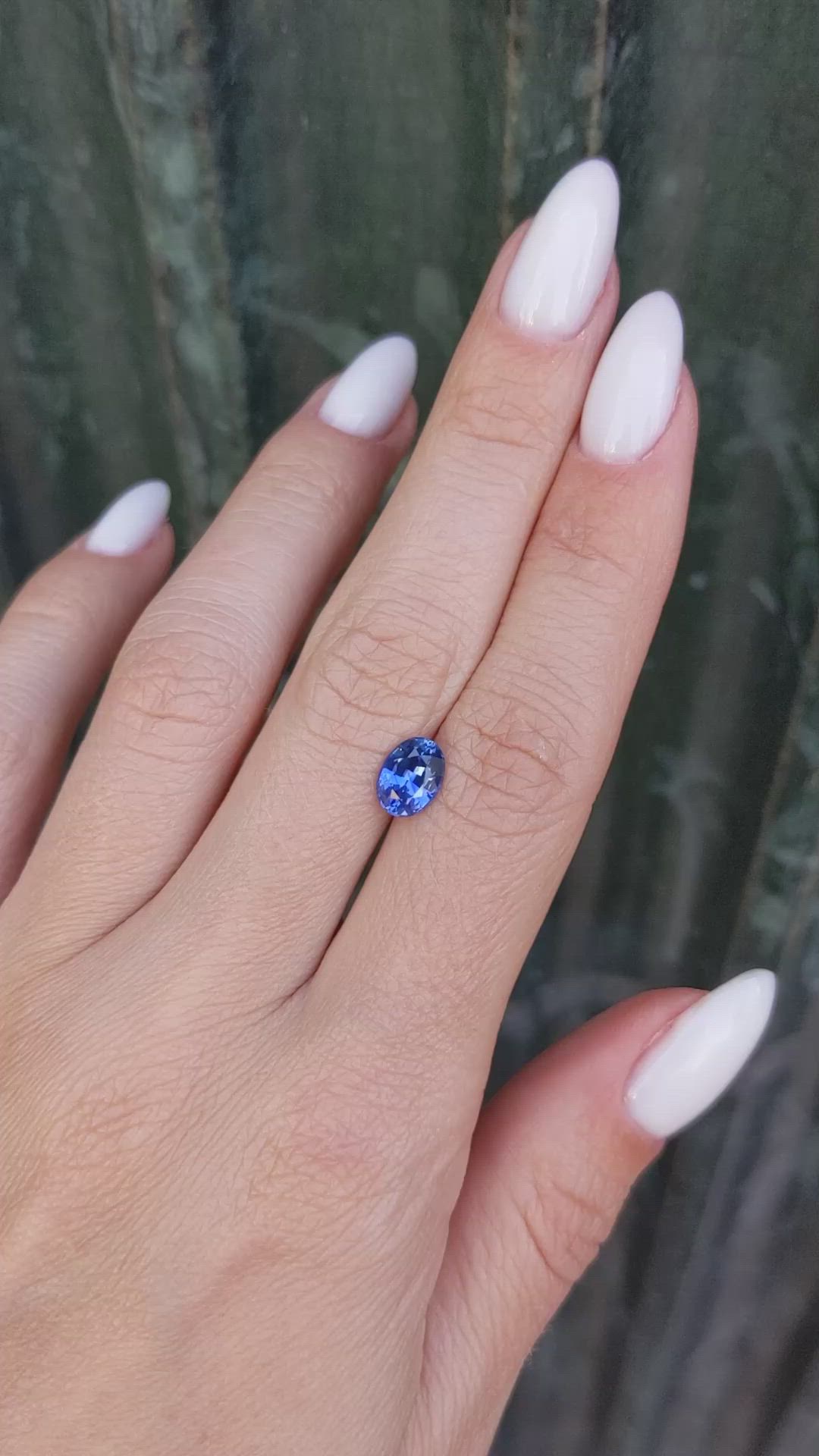 1.50 Ct. Blue Sapphire from Ceylon (Sri Lanka) Size Video