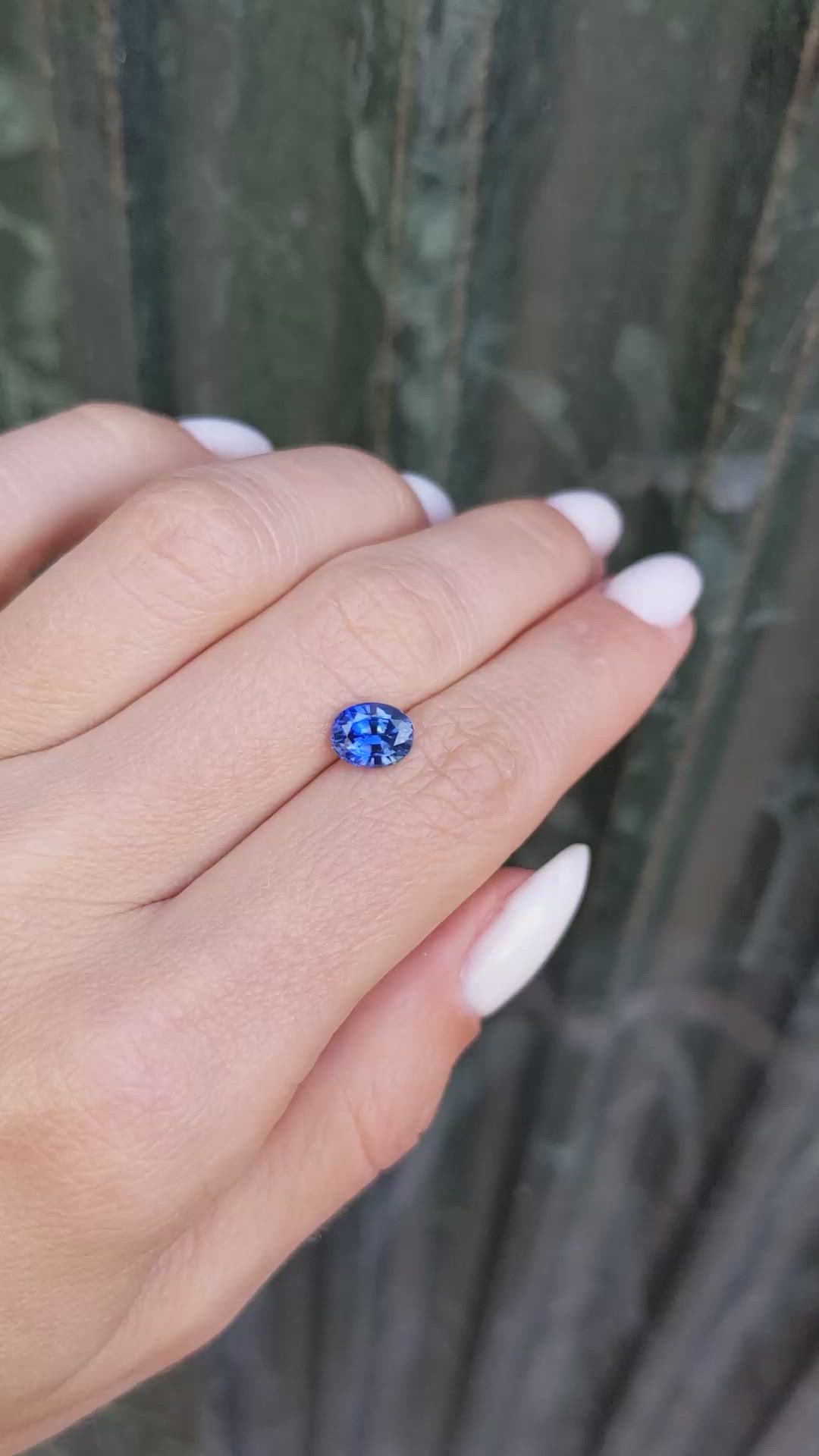 1.51 Ct. Blue Sapphire from Ceylon (Sri Lanka) Size Video