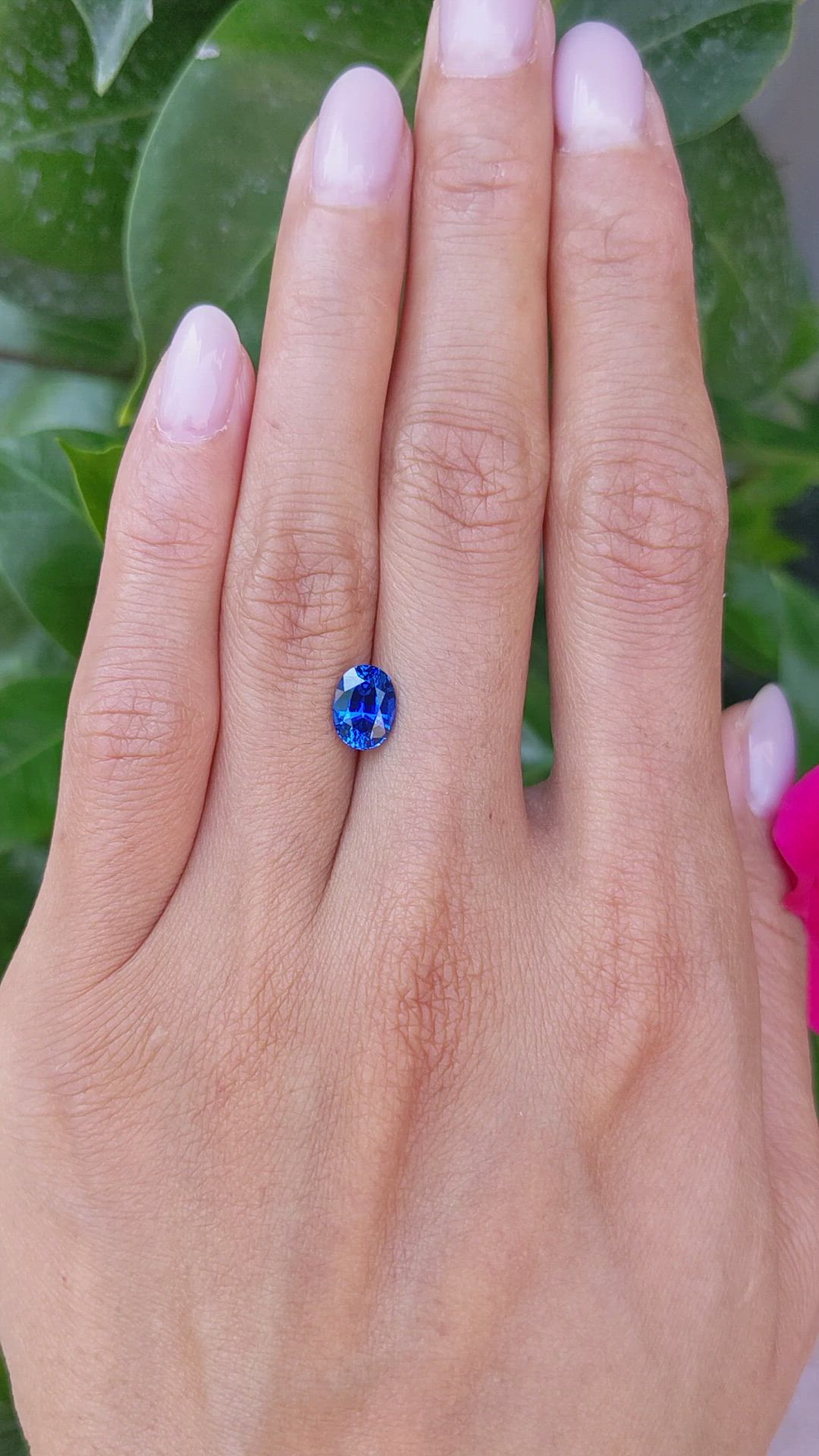 1.71 Ct. Blue Sapphire from Ceylon (Sri Lanka) Size Video