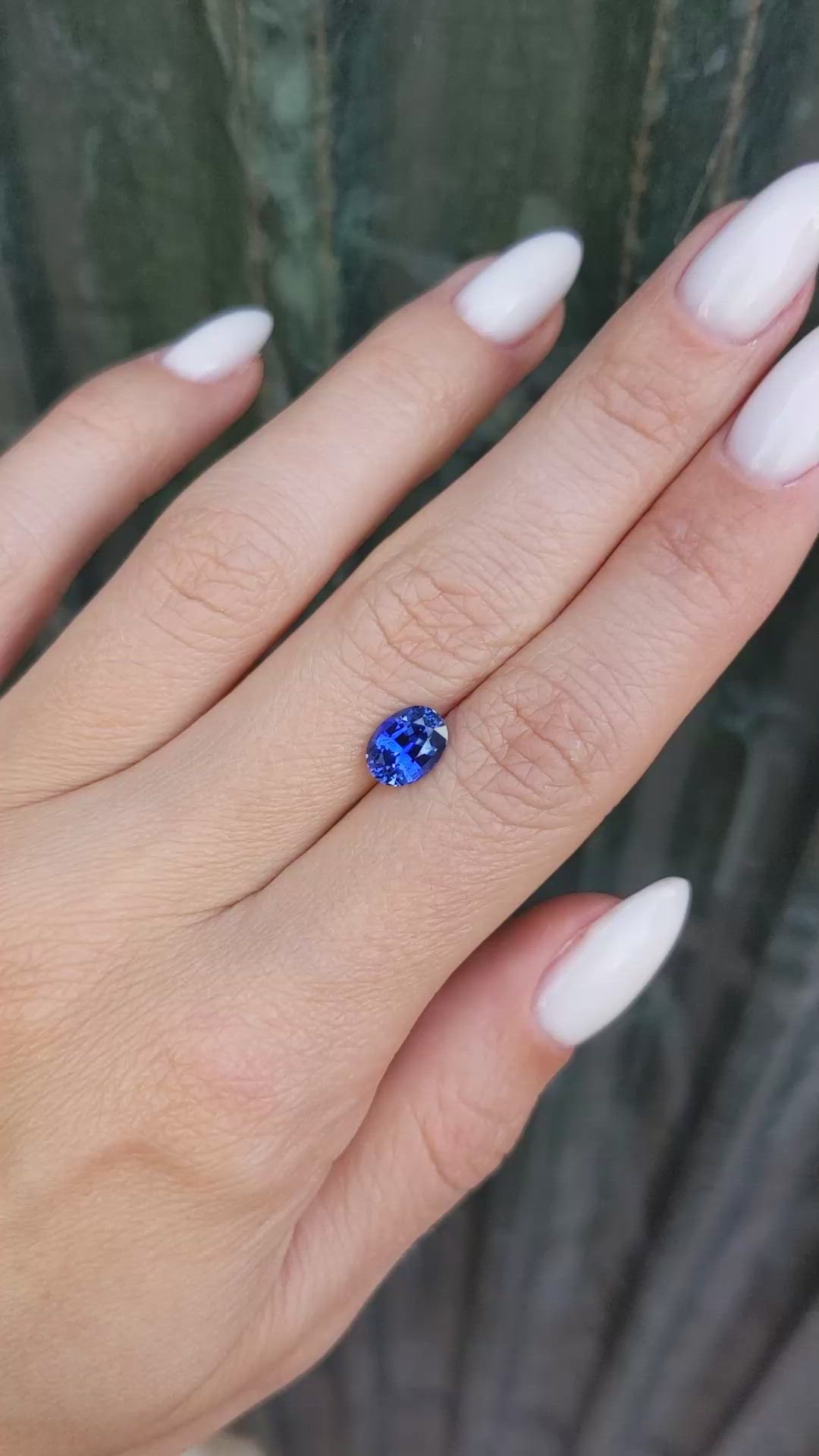 1.71 Ct. Blue Sapphire from Ceylon (Sri Lanka) Size Video