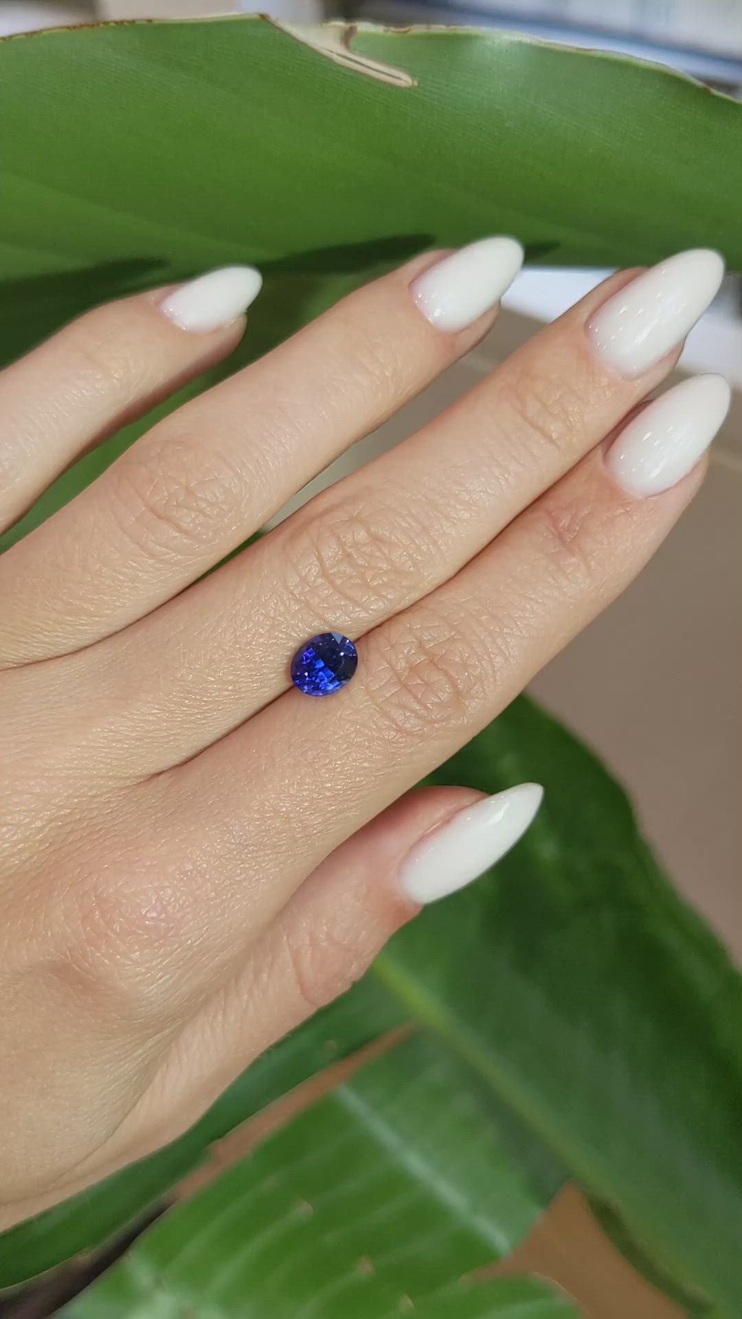 1.76 Ct. Blue Sapphire from Ceylon (Sri Lanka) Size Video