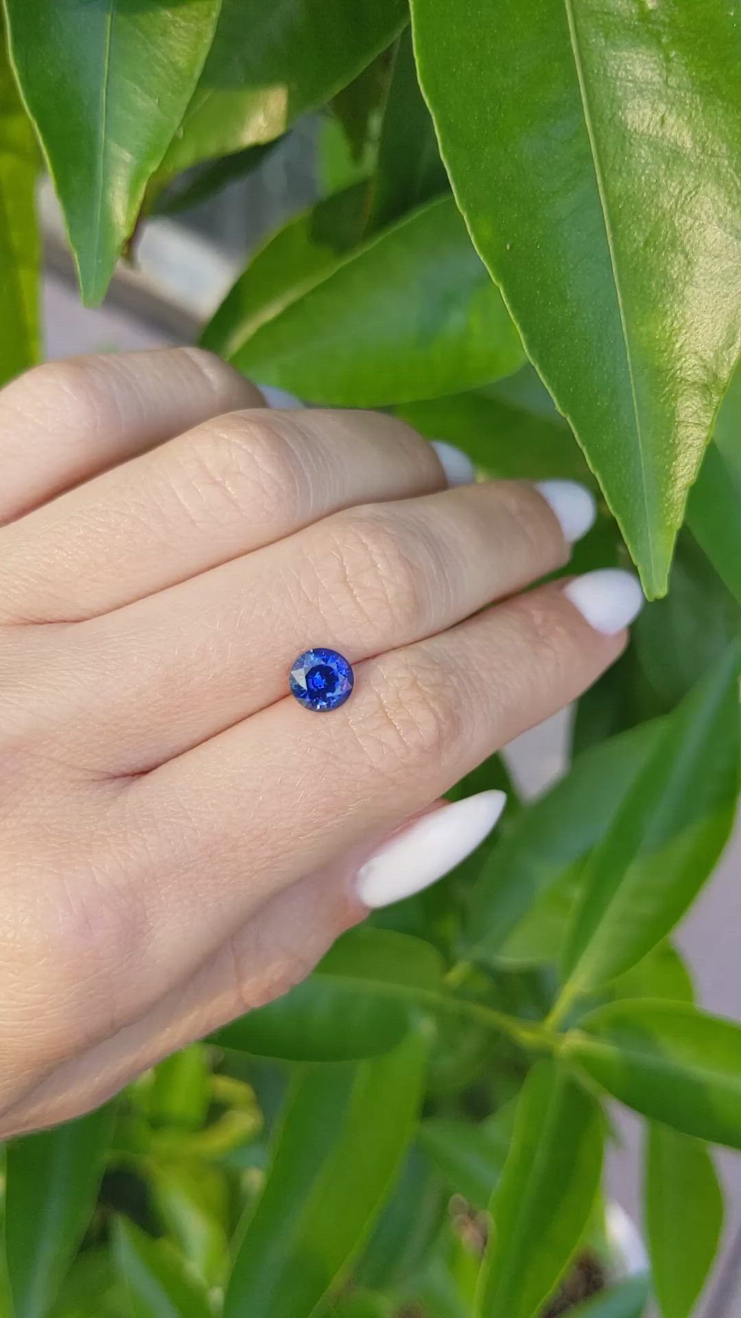 1.39 Ct. Blue Sapphire from Ceylon (Sri Lanka) Size Video
