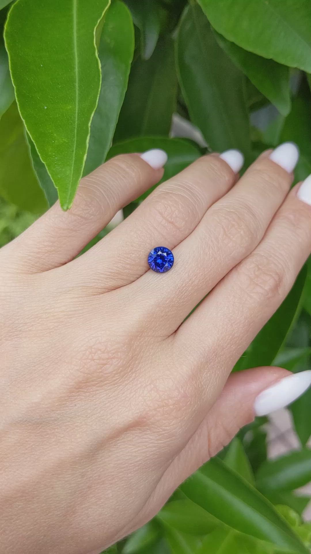 1.42 Ct. Blue Sapphire from Ceylon (Sri Lanka) Size Video