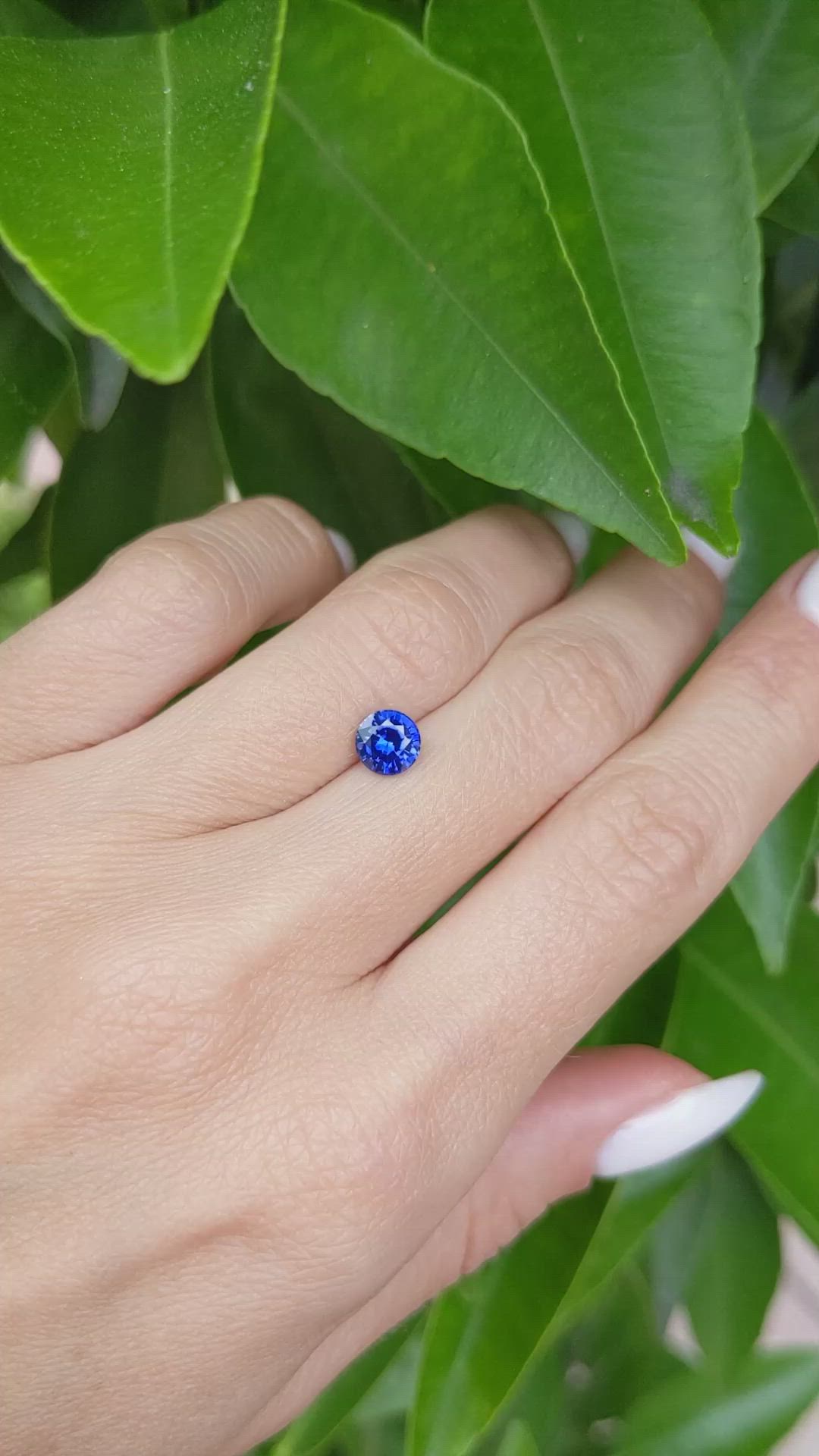 1.03 Ct. Blue Sapphire from Ceylon (Sri Lanka) Size Video