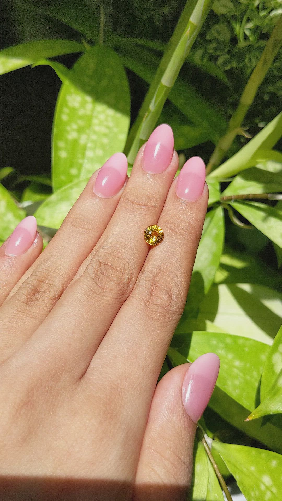 1.32 Ct. Yellow Sapphire from Ceylon (Sri Lanka) Size Video