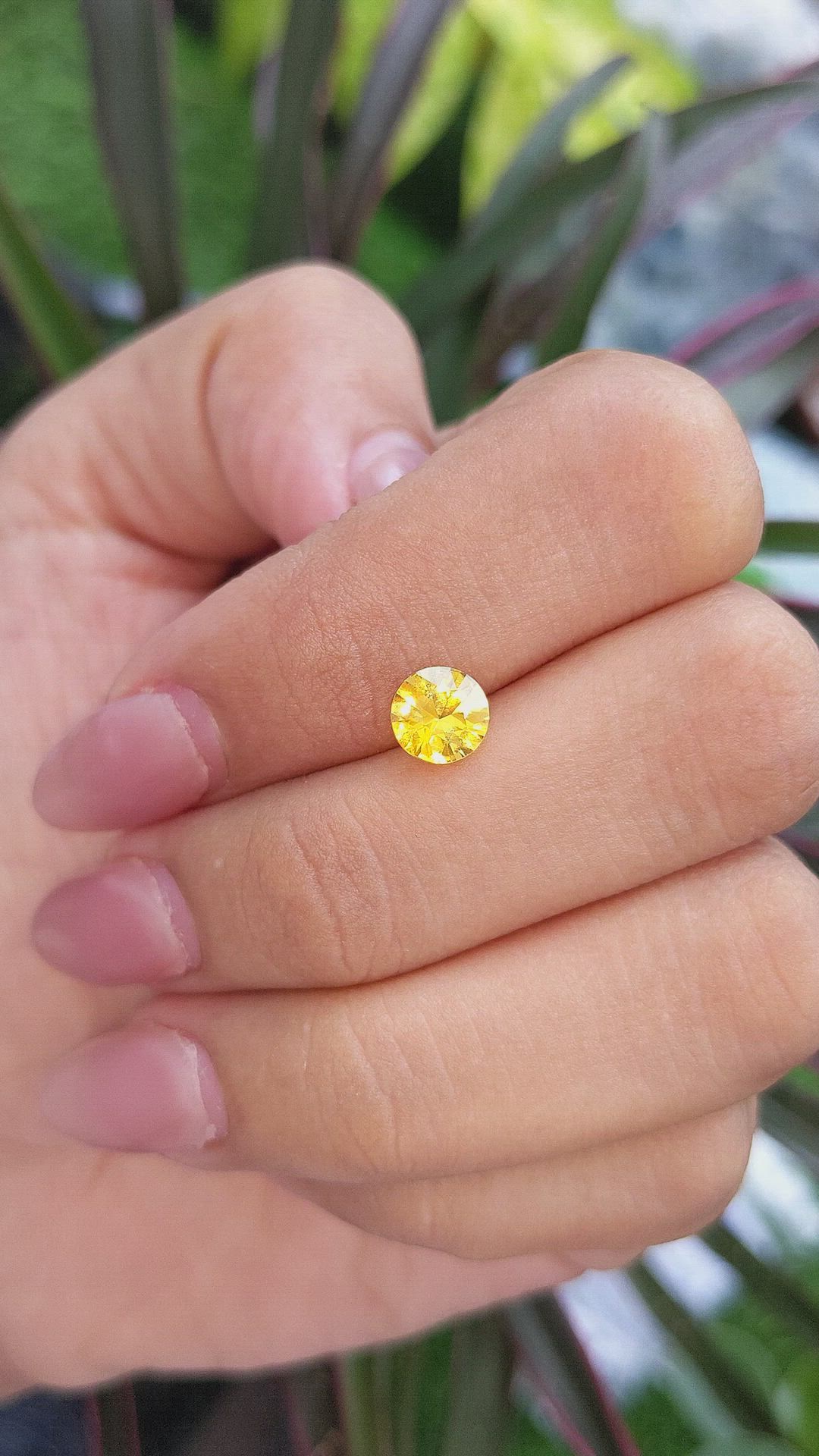 1.14 Ct. Yellow Sapphire from Ceylon (Sri Lanka) Size Video