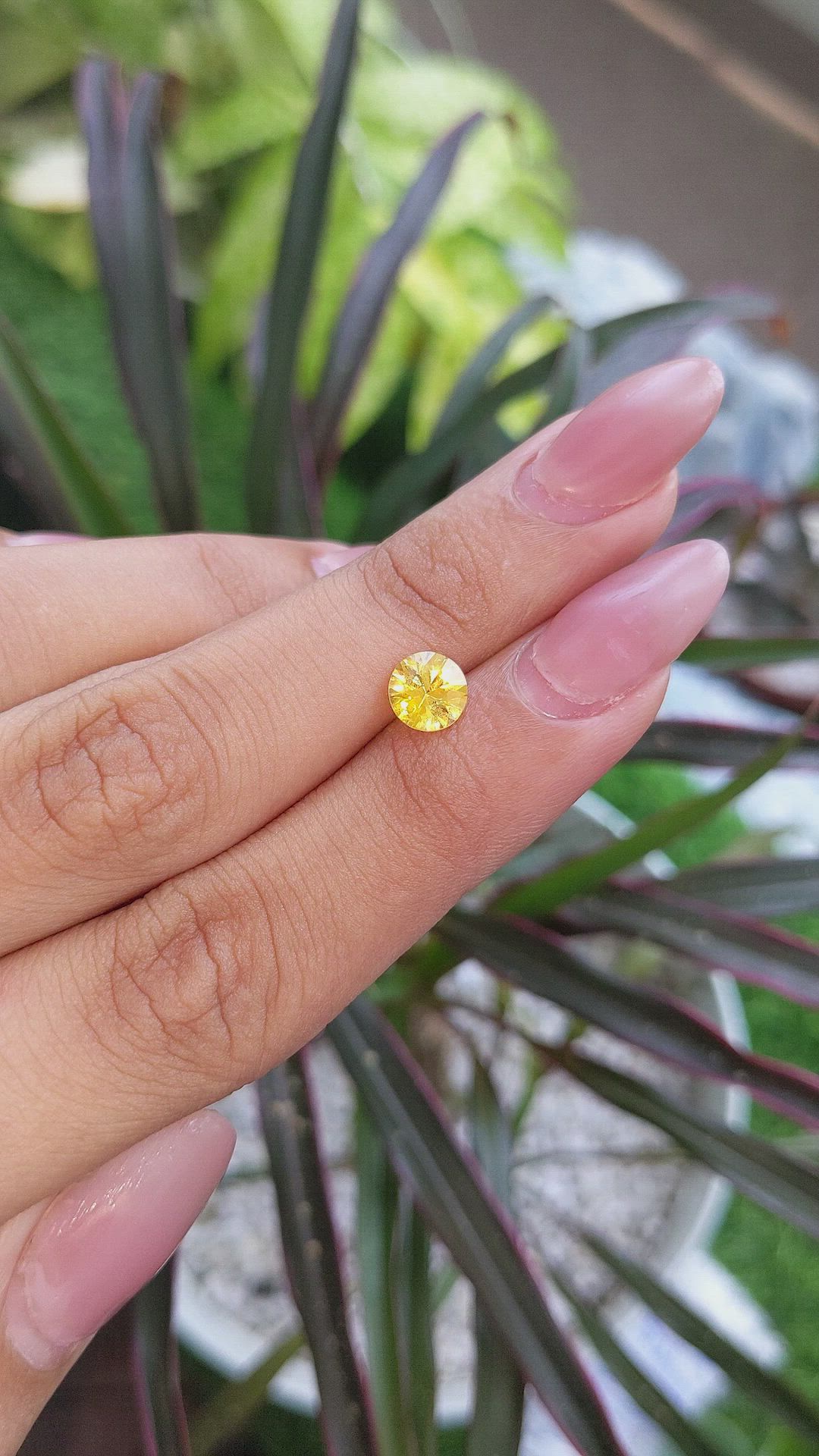 1.14 Ct. Yellow Sapphire from Ceylon (Sri Lanka) Size Video