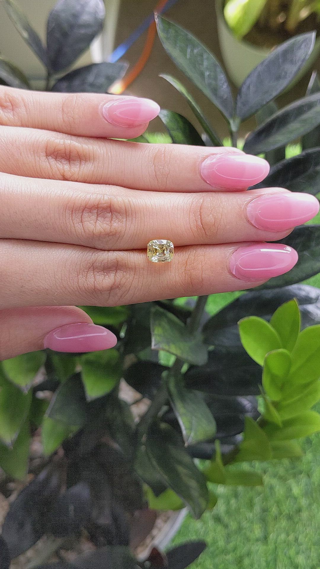 2.44 Ct. Yellow Sapphire from Ceylon (Sri Lanka) Size Video